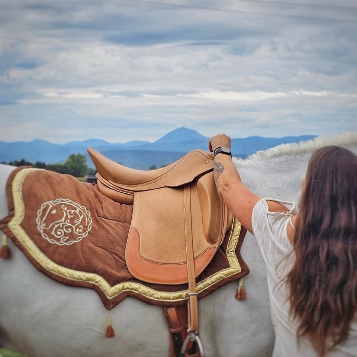 Selle et tapis en cuir sur un cheval
